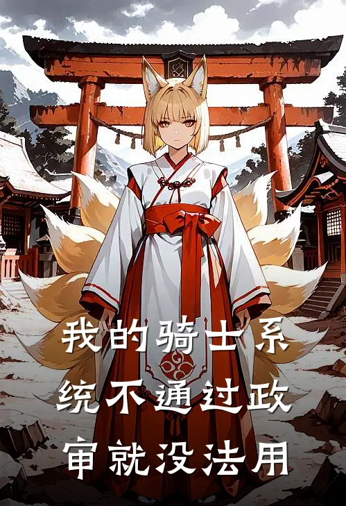 我的骑士系统不通过政审就没法用