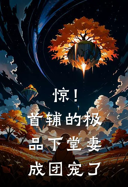 惊！首辅的极品下堂妻成团宠了