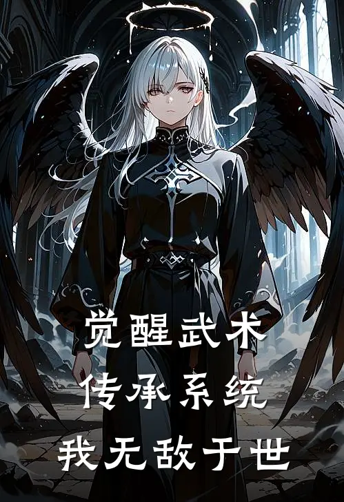 觉醒武术传承系统，我无敌于世