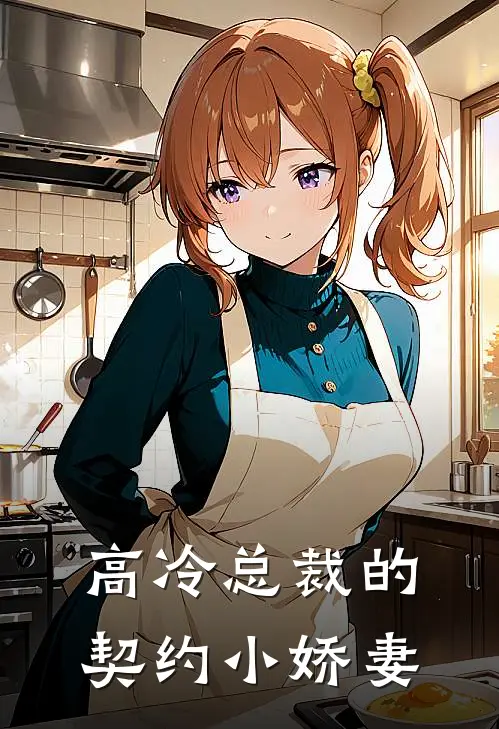 高冷总裁的契约小娇妻